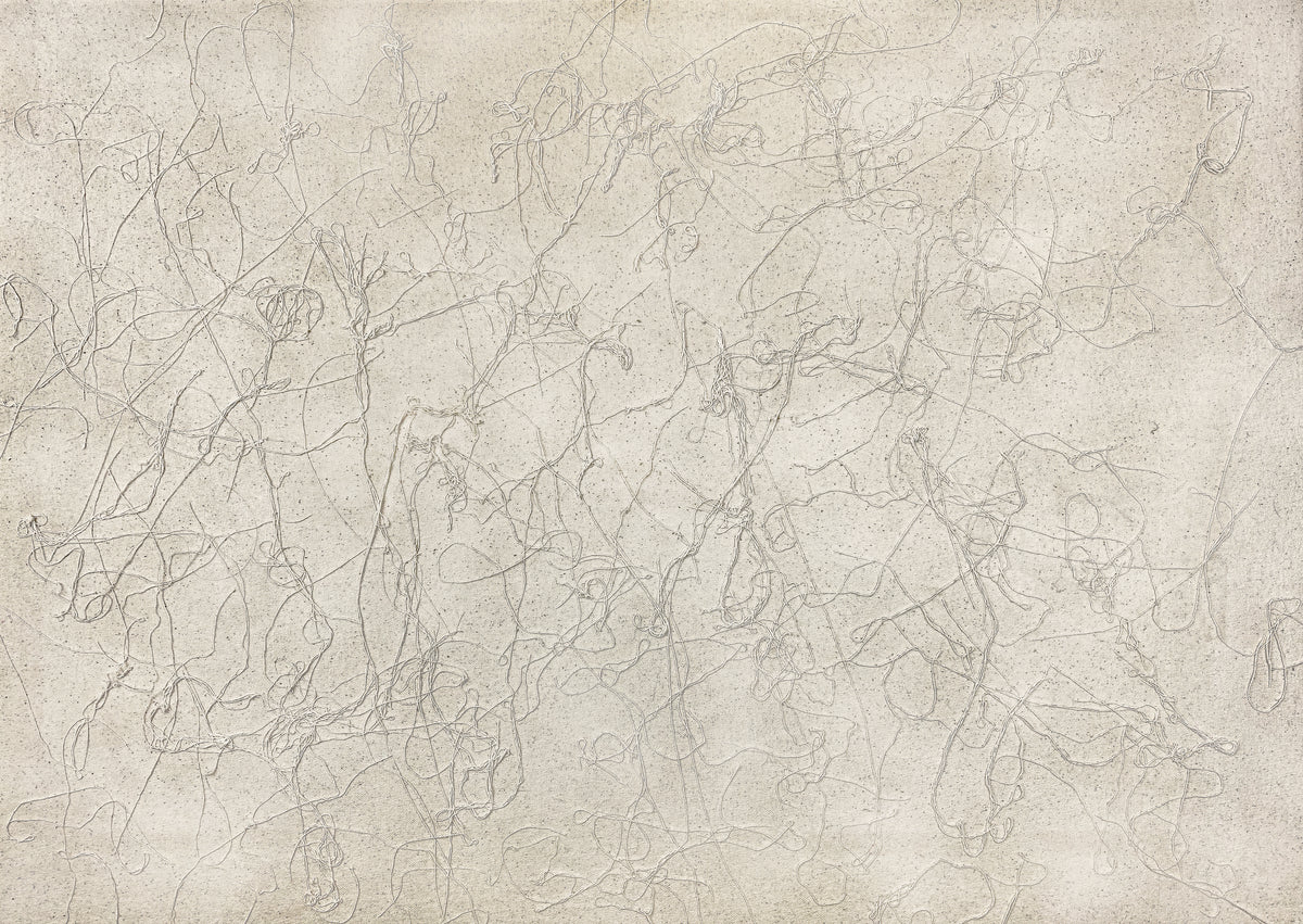 Samu – Connected Strings on Canvas