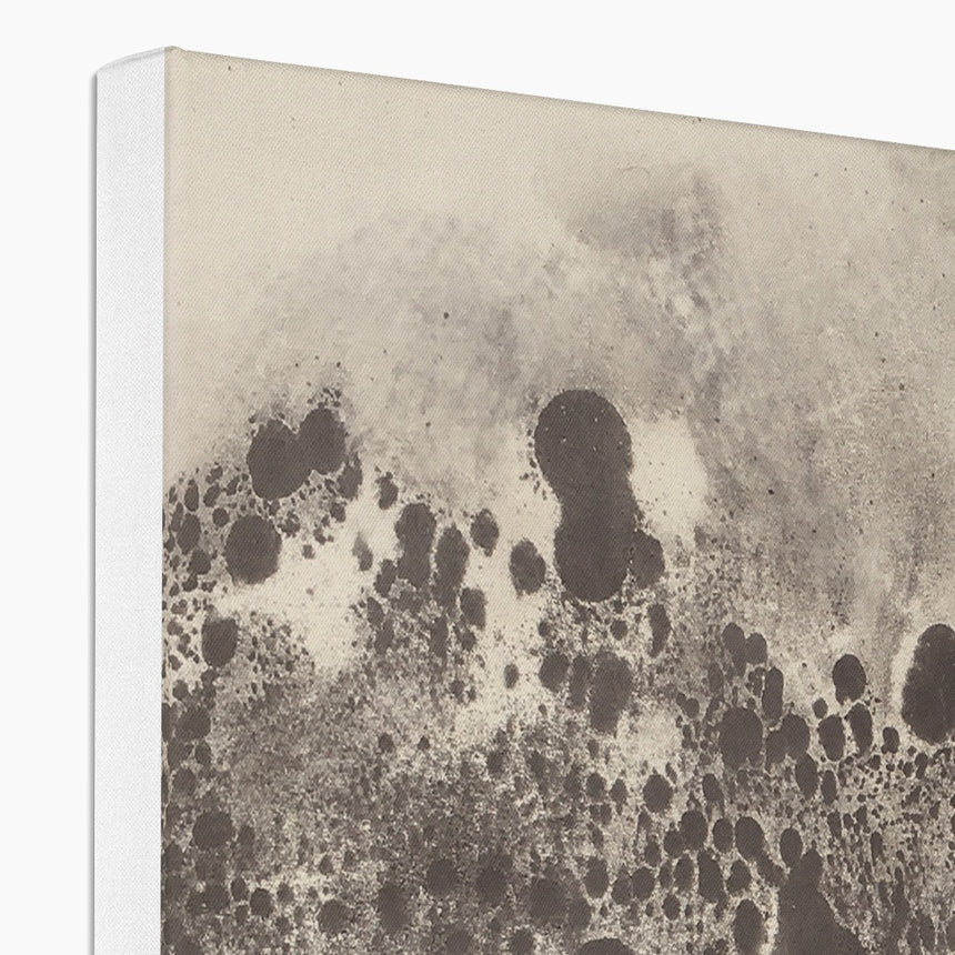 Quemada – Ceniza #2 Brown (Reproduction on Canvas)