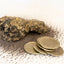 Quemada – Bronze Tortillas & Maseca Mound