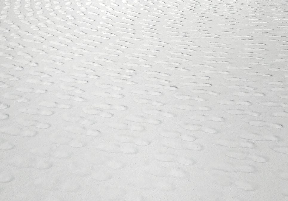 From “Walking Meditations”