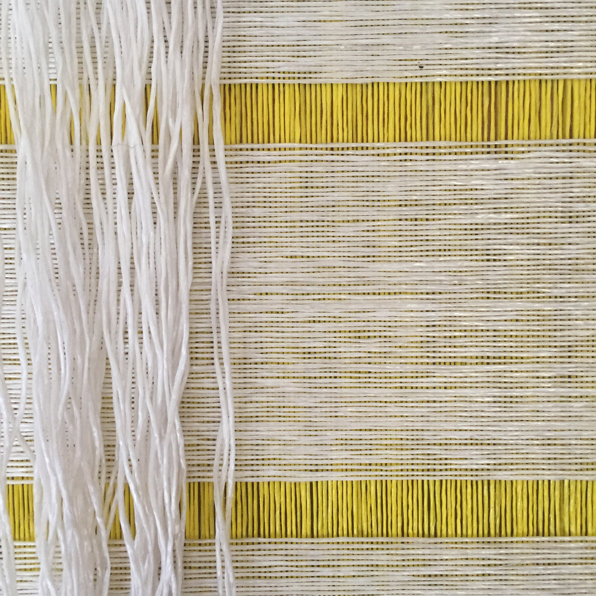 Pita Plastica – California