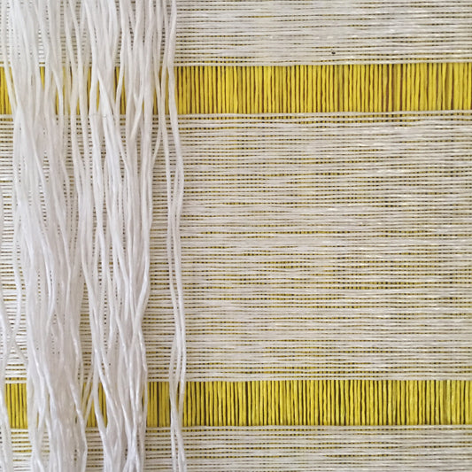Pita Plastica – California