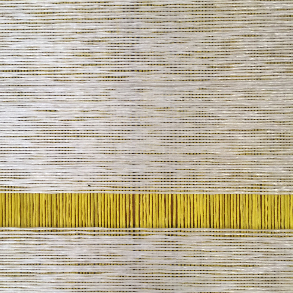 Pita Plastica – California