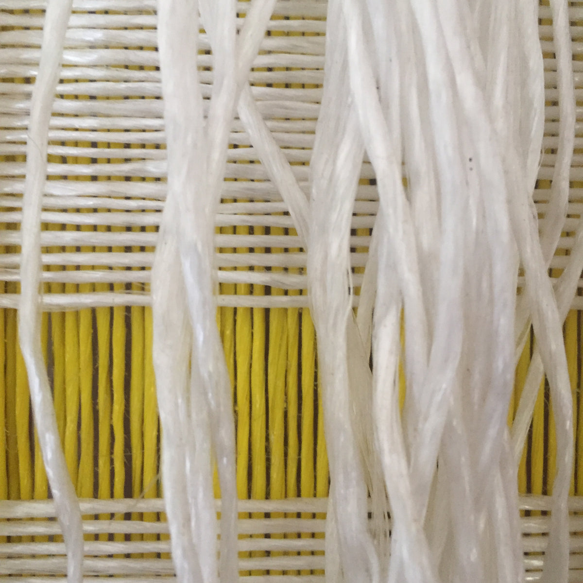 Pita Plastica – California