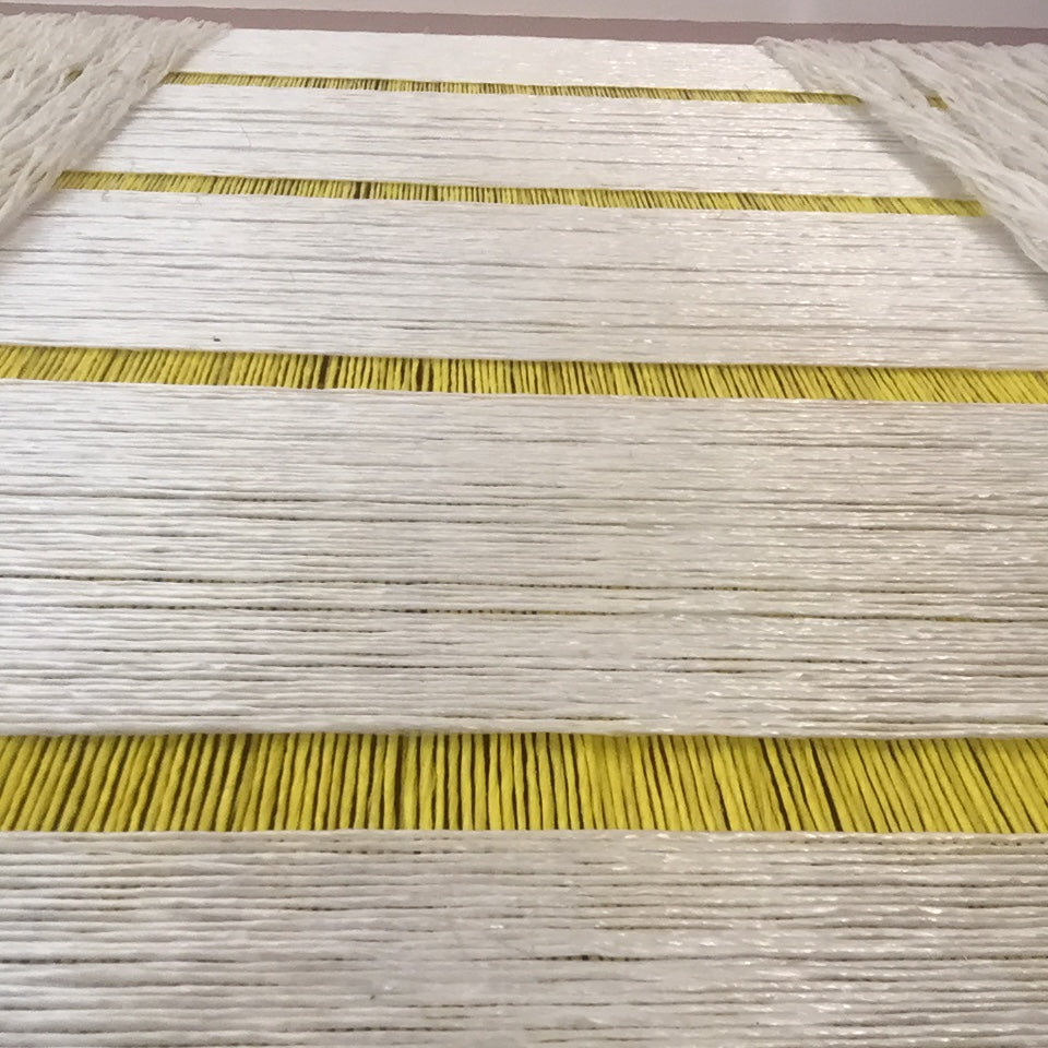 Pita Plastica – California