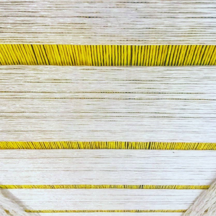 Pita Plastica – California