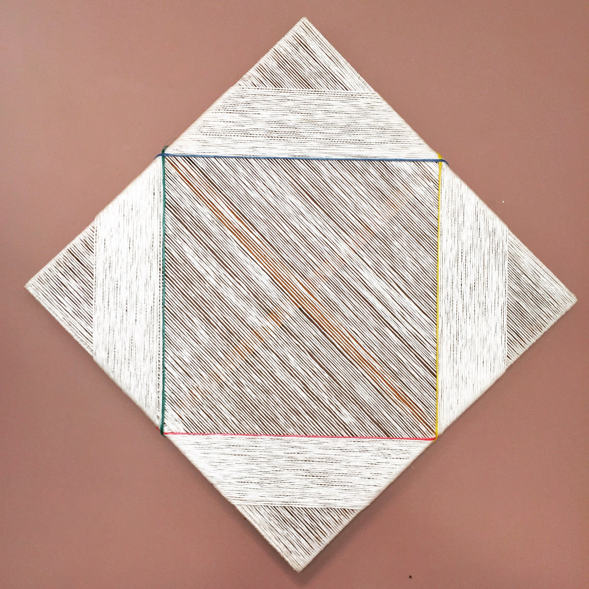 Pita Plastica – Family on an Axis