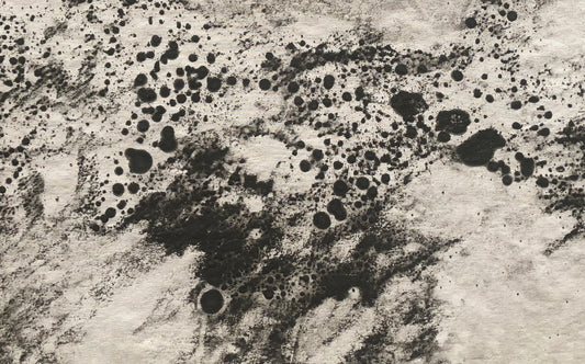 Quemada – Ceniza #11
