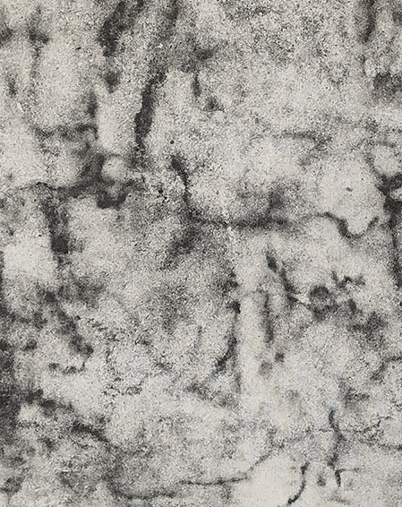 Quemada – Ceniza #1